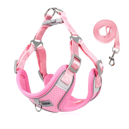 Reflective Dog Harness and Leash Set for Small to Medium Dogs and Cats - Adjustable for Outdoor Walks