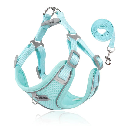 Reflective Dog Harness and Leash Set for Small to Medium Dogs and Cats - Adjustable for Outdoor Walks