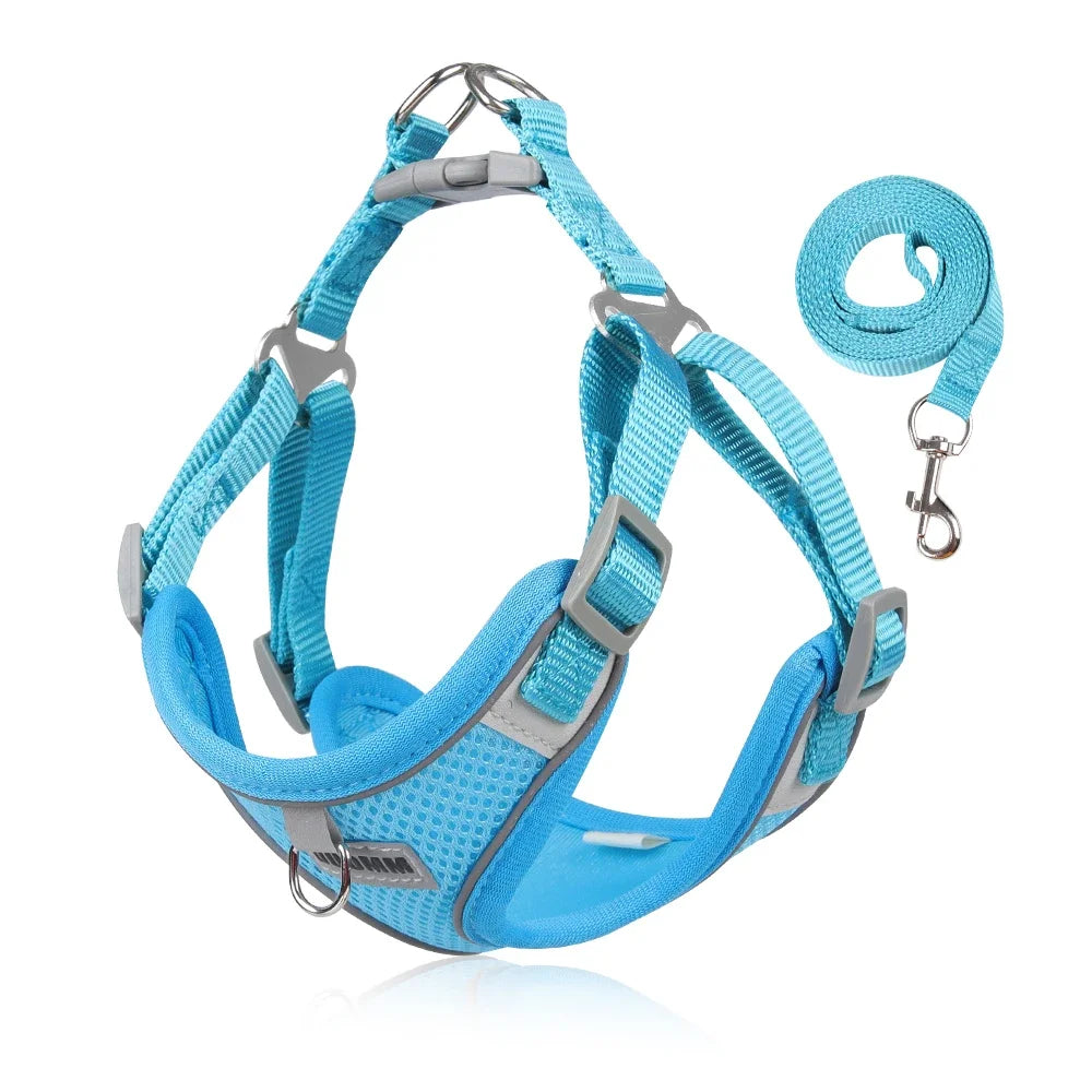 Reflective Dog Harness and Leash Set for Small to Medium Dogs and Cats - Adjustable for Outdoor Walks