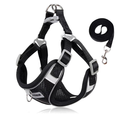 Reflective Dog Harness and Leash Set for Small to Medium Dogs and Cats - Adjustable for Outdoor Walks