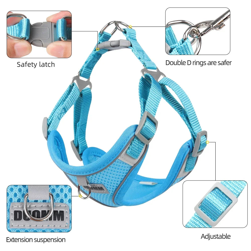 Reflective Dog Harness and Leash Set for Small to Medium Dogs and Cats - Adjustable for Outdoor Walks