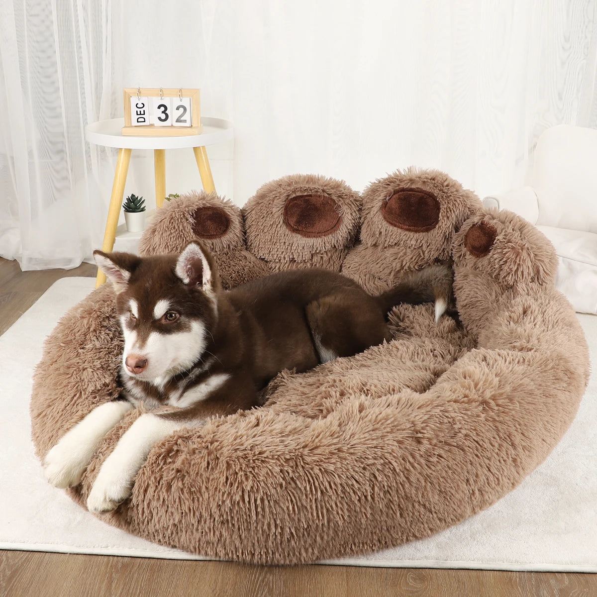 Pet Dog Sofa Beds for dogs of all sizes!!!!!!!